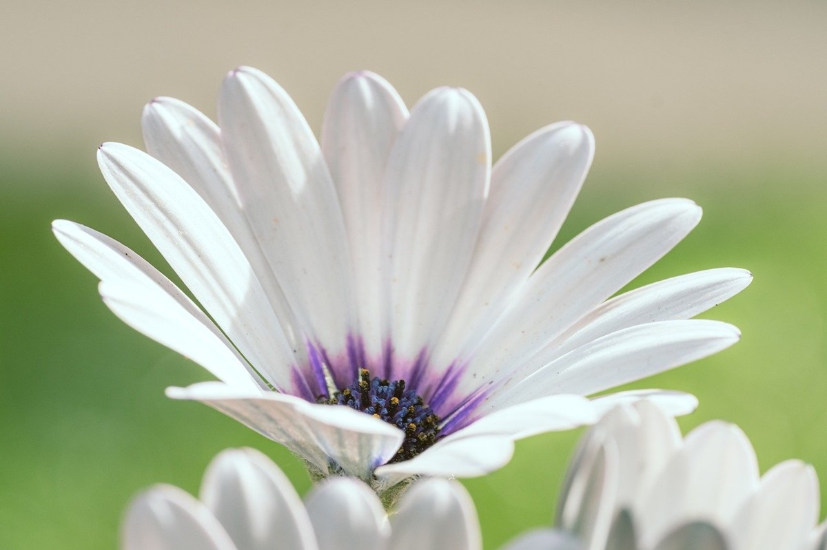 Гороскоп для всіх знаків зодіаку на 20-21 вересня 2025 року