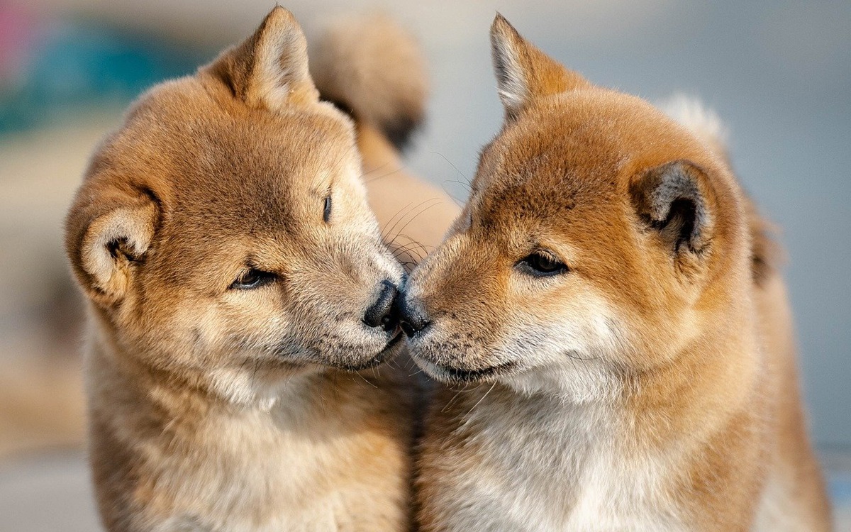 Гороскоп для всіх знаків зодіаку на 24 вересня 2025 року