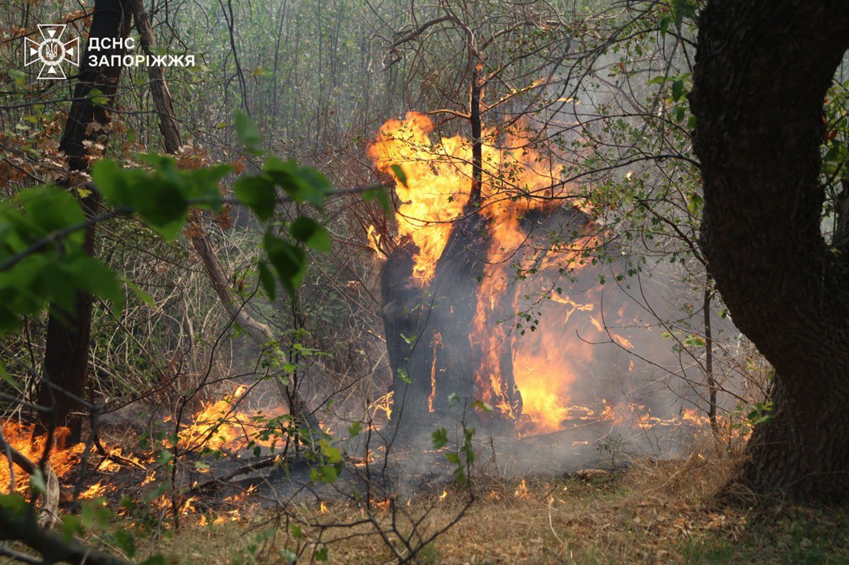 На Хортиці спалахнула масштабна пожежа