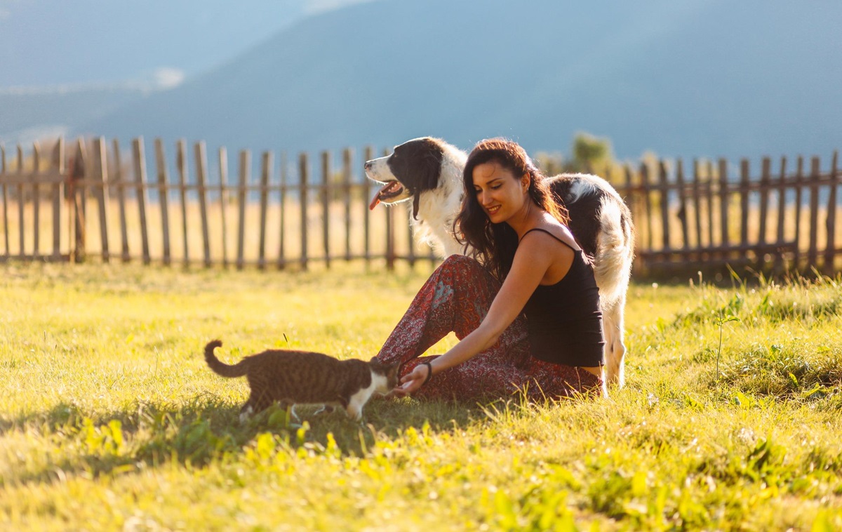 В Україну повернеться “літнє” тепло до +27