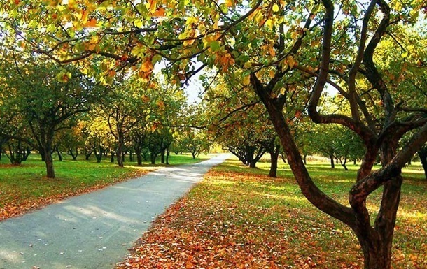 Вихідні в Україні будуть теплими