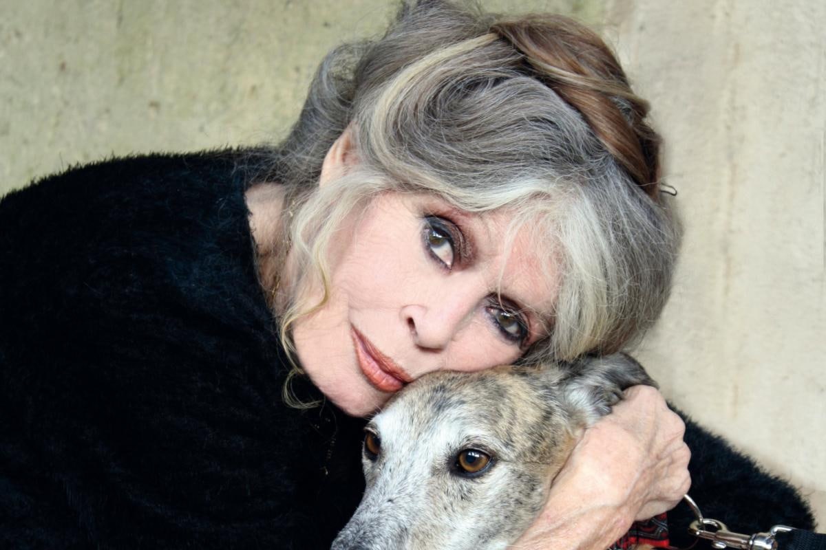 Бріжіт Бардо спростувала чутки про свою смерть