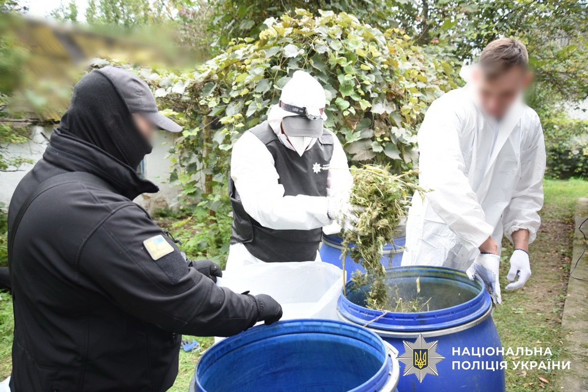 На Київщині вилучили наркотиків на 15 млн грн