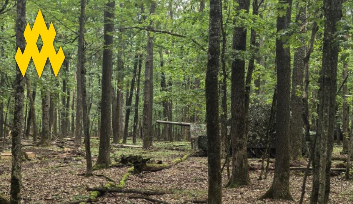Новини України - Партизани допомогли зірвати наступ РФ під Вовчанськом