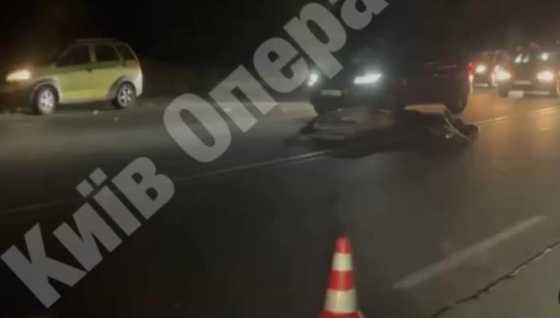 Під Києвом авто збило лося