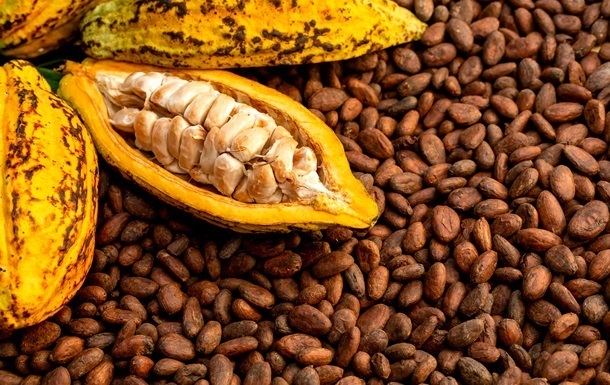 Ціна на какао-боби впала до 20-місячного мінімуму