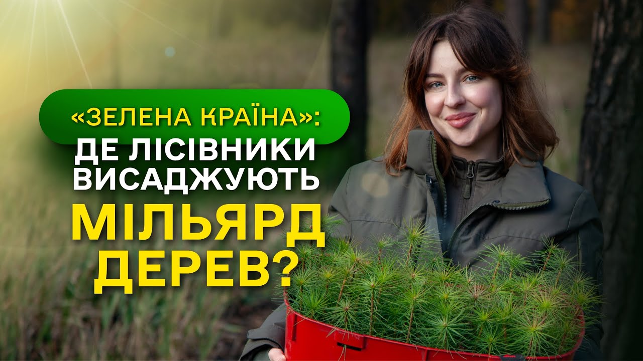 Замість уламків РАКЕТ – молодий ЛІС / ДП “Ліси України” завершує програму Президента ЗЕЛЕНА КРАЇНА