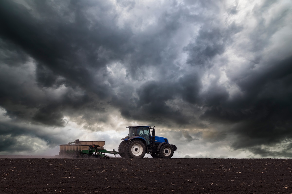 Українські аграрії засіяли 74% озимих культур