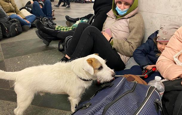 Загроза балістики: Київ та області України у тривозі