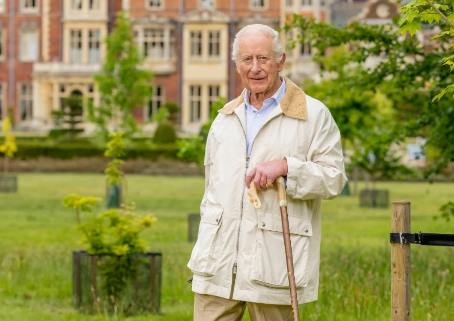 Букінгемський палац оприлюднив новий портрет монарха