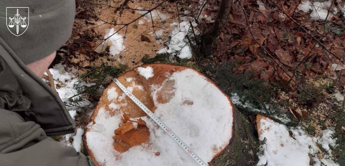 Суд розгляне справу ексочільника ДСНС, який “розчистив” заказник на 7 млн