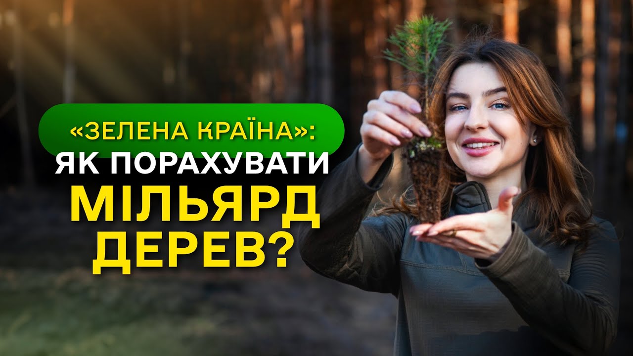 МІЛЬЯРД ДЕРЕВ зʼявився в Україні / як ДП “Ліси України” реалізували програму ЗЕЛЕНА КРАЇНА?
